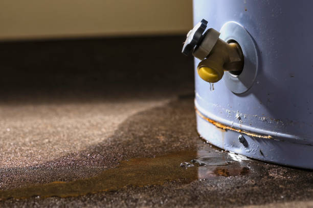 Best Water damage restoration insurance claims  in Westminster, MD