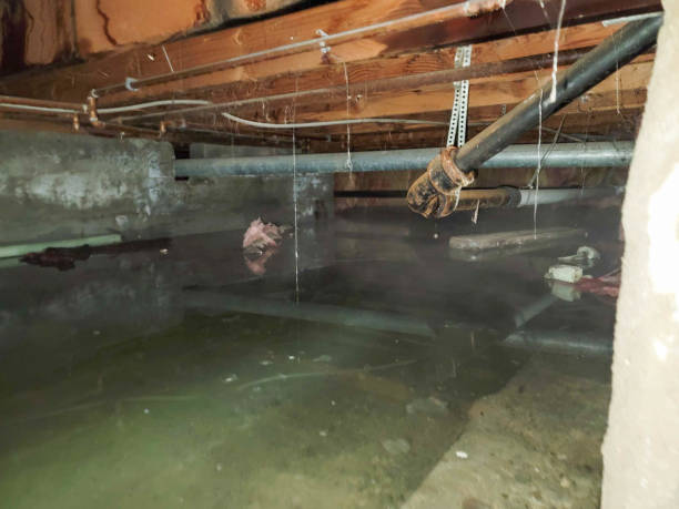 Best Basement water damage restoration  in Westminster, MD