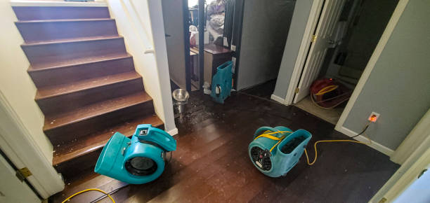 Best Water damage restoration near me  in Westminster, MD