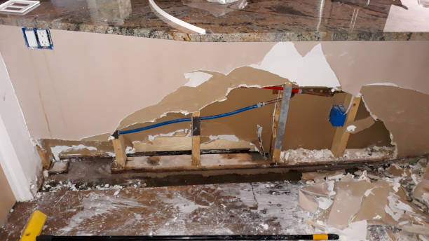 Best Flood damage cleanup  in Westminster, MD