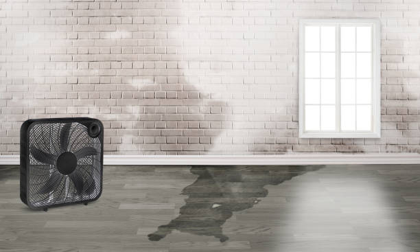  Westminster, MD Water damage restoration Pros