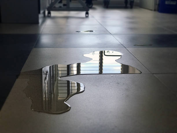 Best Professional water damage repair  in Westminster, MD