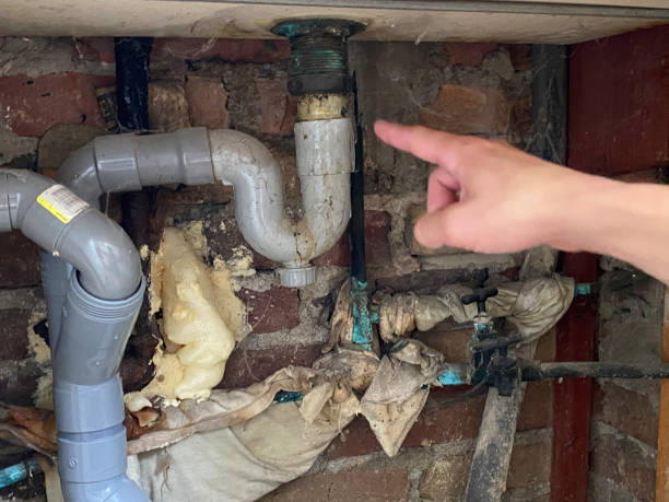 Best Water damage restoration near me  in Westminster, MD