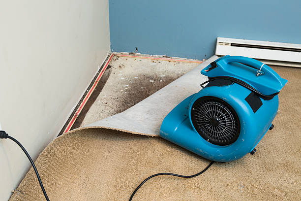 Best Water damage restoration near me  in Westminster, MD